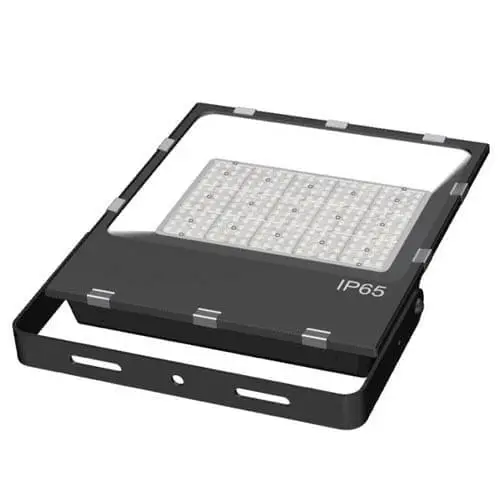 d floodlight