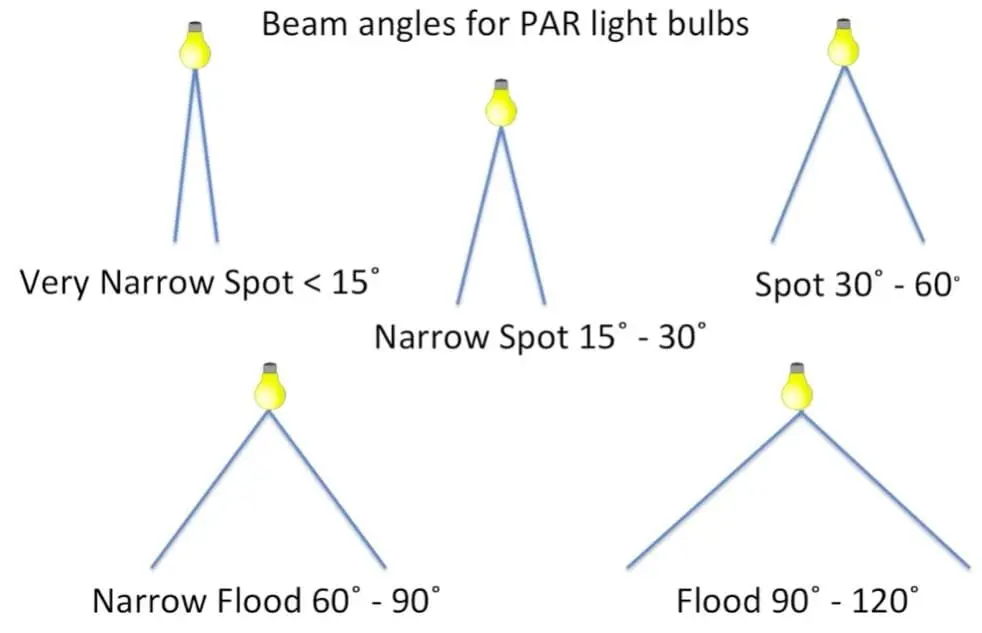 beam angle for par light bulbs